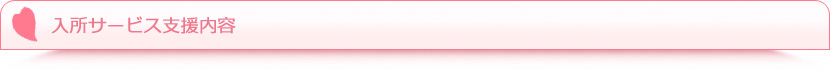 入所サービス 支援内容